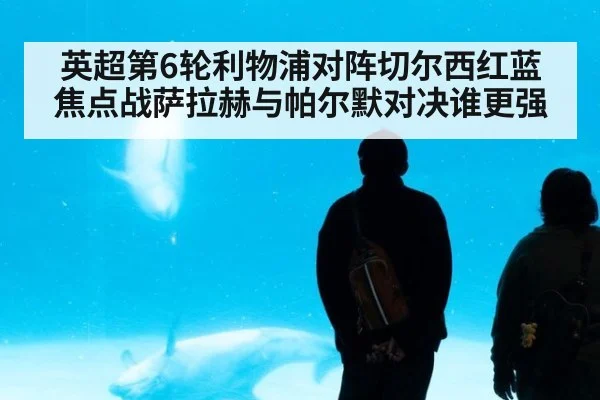 英超第6轮利物浦对阵切尔西红蓝焦点战萨拉赫与帕尔默对决谁更强